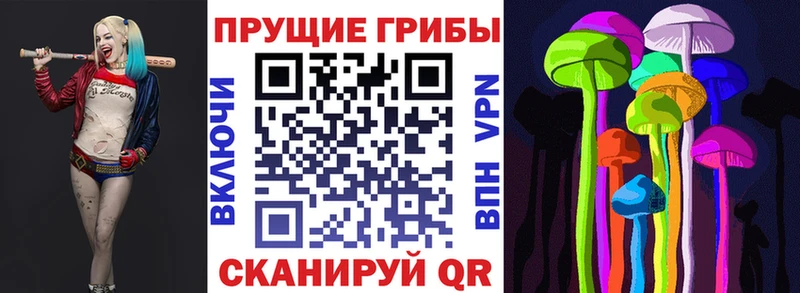 Галлюциногенные грибы GOLDEN TEACHER Инза